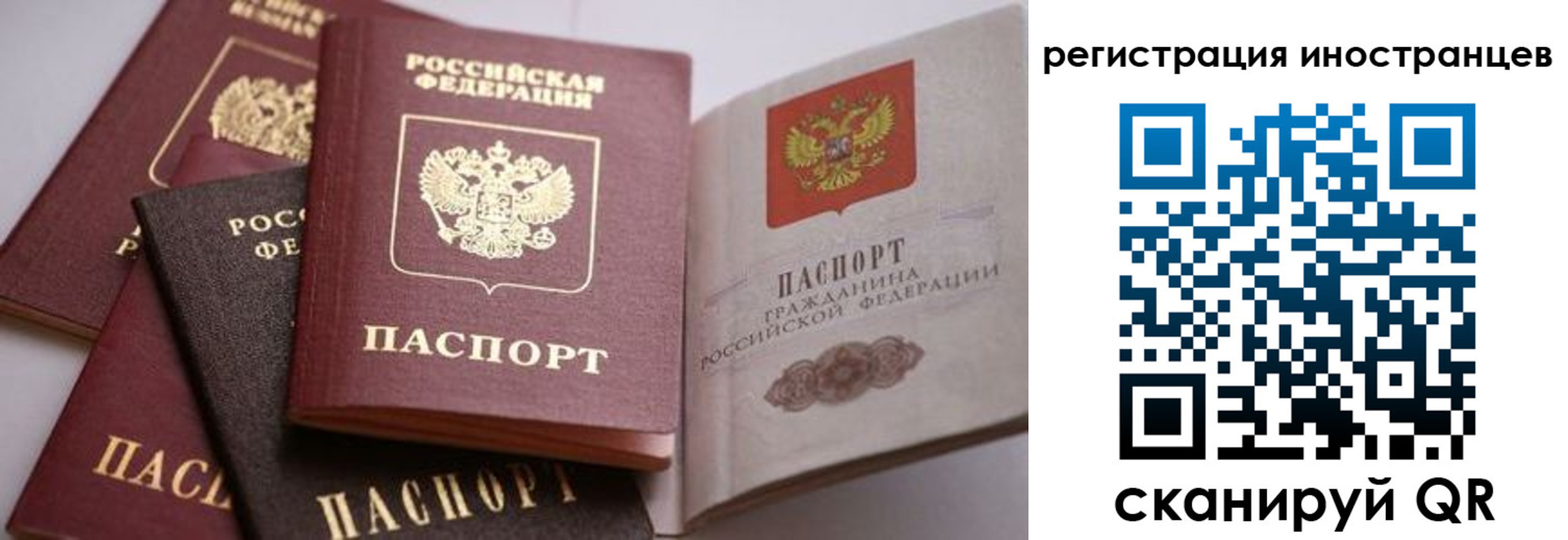 прописка штамп в Бородино