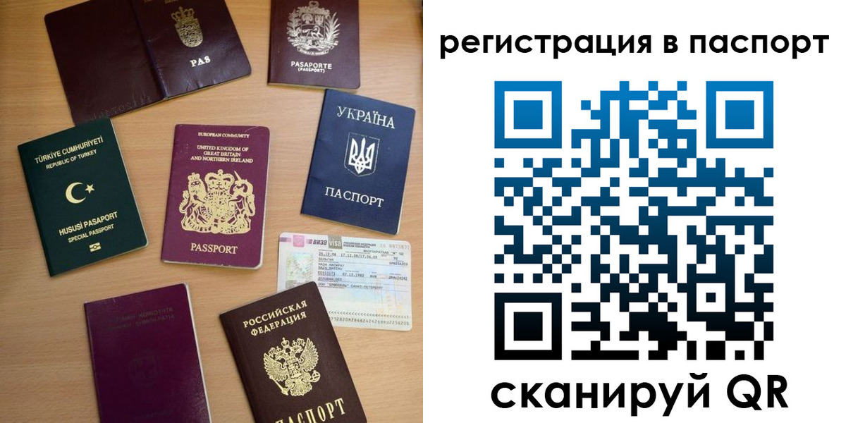 прописка поиск в Бородино